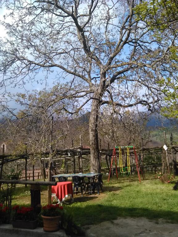 Casa Giordano Villa Tramonti Cameră foto